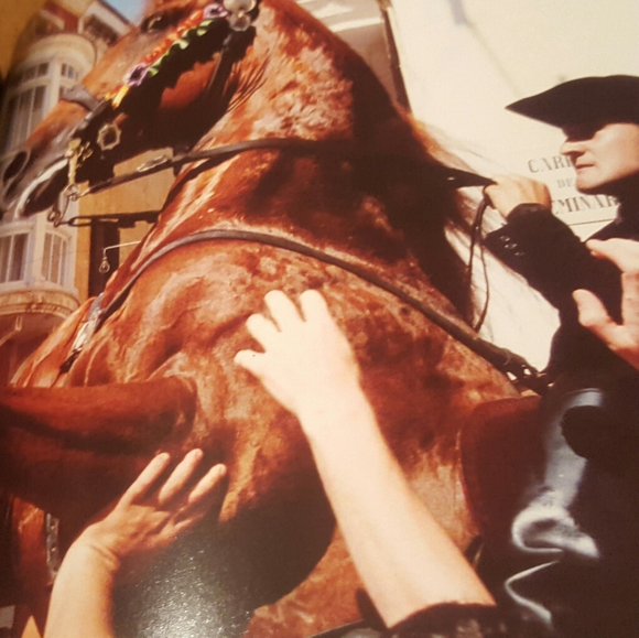 HORSES CUBE BOOK EXCELLENT CONDITION - Picture 12 of 12